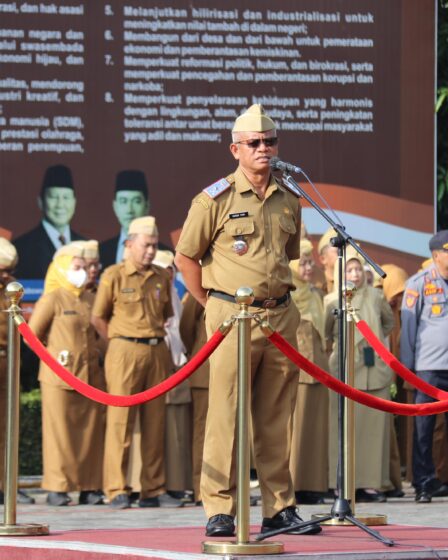 whatsapp image 2025 10 01 at 09.27.12