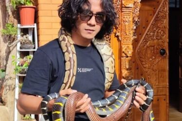 whatsapp image 2025 10 27 at 22.31.35