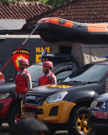 whatsapp image 2025 11 06 at 20.13.19