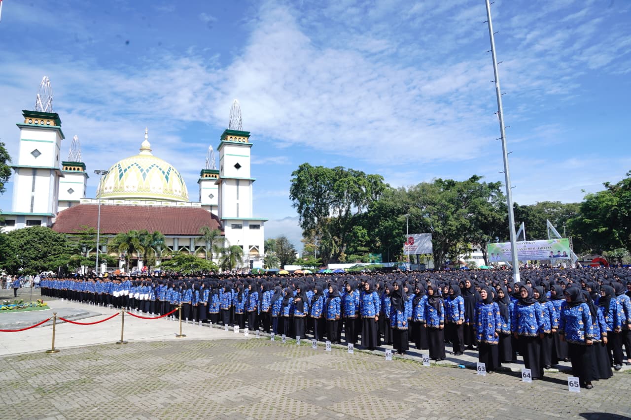 whatsapp image 2025 11 08 at 19.01.09