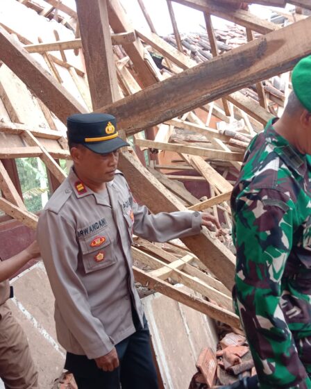 whatsapp image 2025 11 10 at 15.43.25