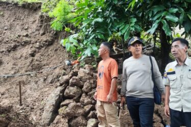 whatsapp image 2025 11 15 at 14.51.27