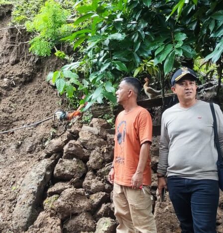 whatsapp image 2025 11 15 at 14.51.27