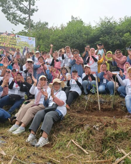 whatsapp image 2025 12 20 at 07.53.03