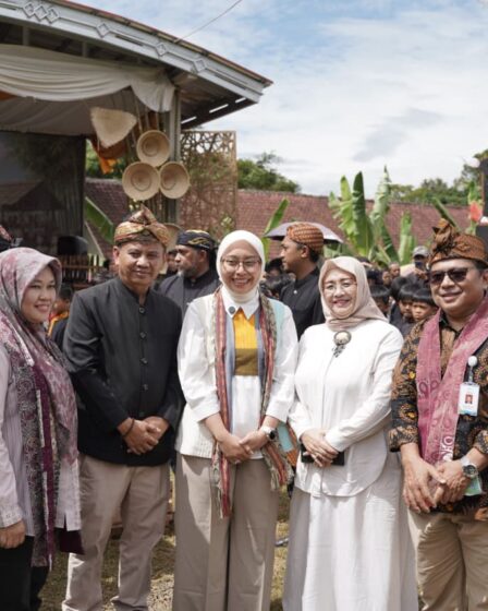 whatsapp image 2025 12 23 at 11.44.16