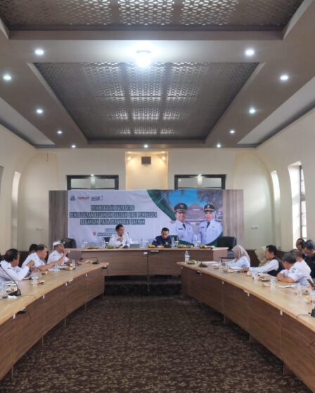 whatsapp image 2025 12 24 at 23.01.28