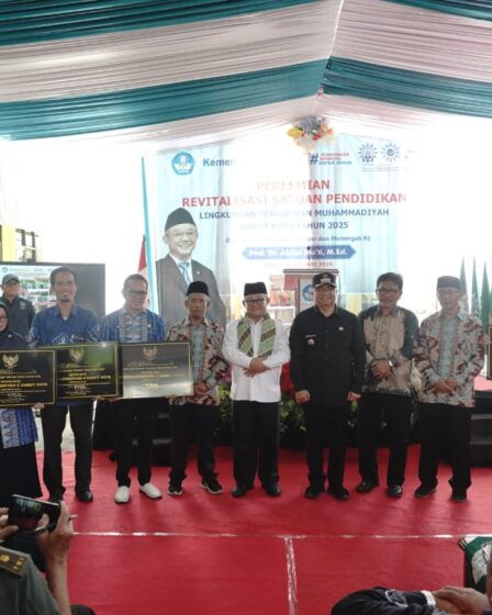 whatsapp image 2026 01 10 at 17.15.04