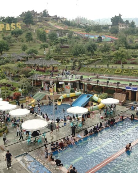 whatsapp image 2026 01 17 at 17.51.55