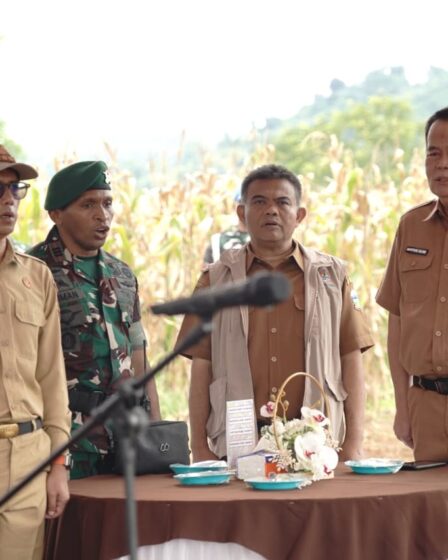 Panen Raya Jagung Jaga Stabilitas Pangan img 20260223 wa0001