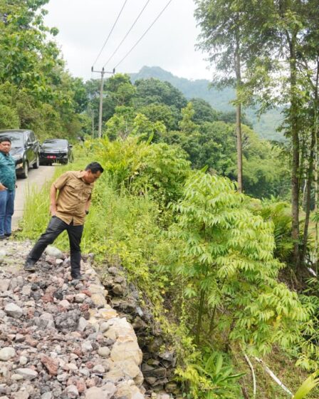 whatsapp image 2026 02 01 at 01.45.07