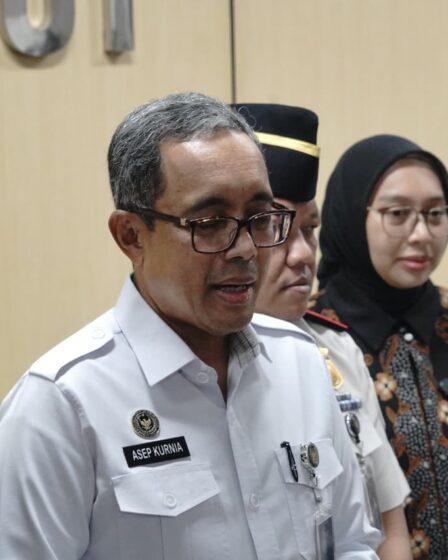 whatsapp image 2026 02 01 at 02.07.17