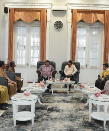 whatsapp image 2026 02 01 at 02.12.03