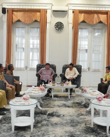 whatsapp image 2026 02 01 at 02.12.03